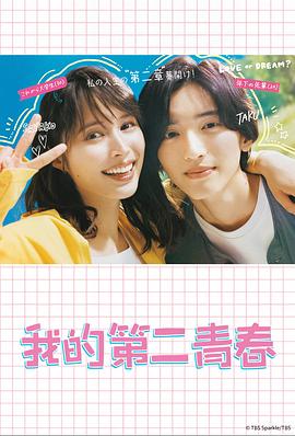 巢湖网站优化哪家靠谱